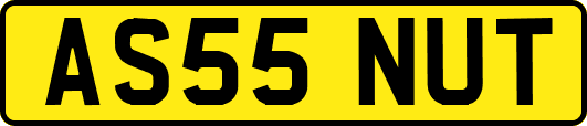 AS55NUT