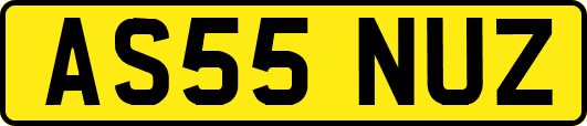 AS55NUZ