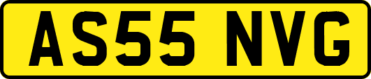 AS55NVG