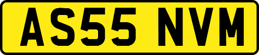 AS55NVM