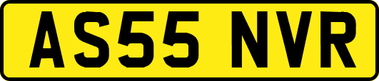 AS55NVR
