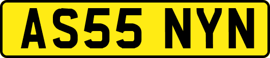 AS55NYN