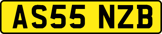 AS55NZB