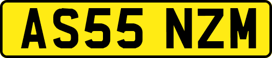 AS55NZM