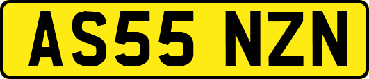 AS55NZN