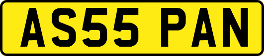 AS55PAN