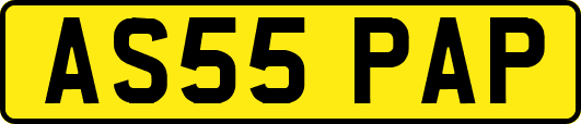 AS55PAP