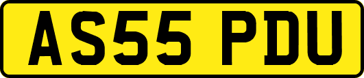 AS55PDU