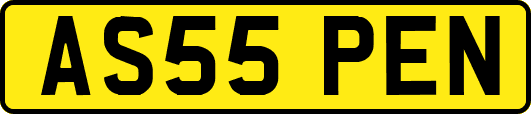 AS55PEN