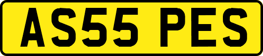 AS55PES