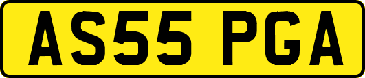 AS55PGA