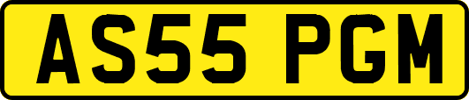 AS55PGM