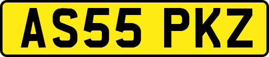 AS55PKZ