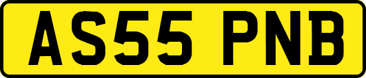 AS55PNB