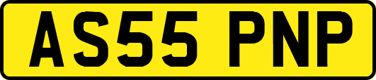 AS55PNP
