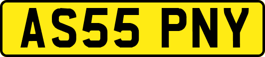AS55PNY