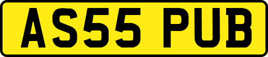 AS55PUB