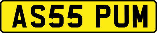 AS55PUM