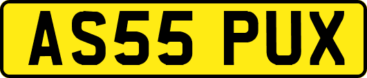 AS55PUX