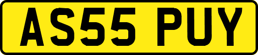 AS55PUY