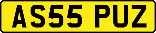 AS55PUZ