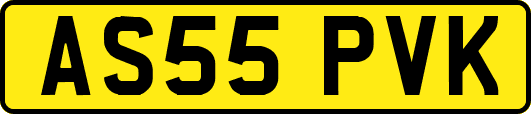 AS55PVK