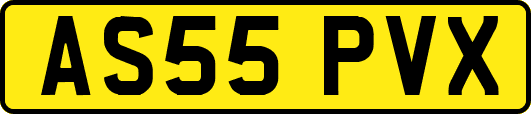 AS55PVX
