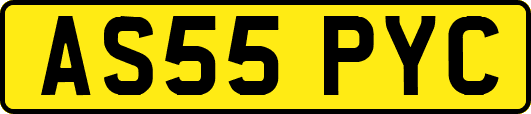 AS55PYC