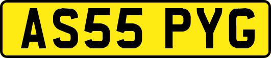 AS55PYG