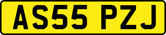 AS55PZJ