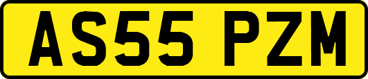 AS55PZM