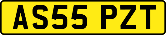 AS55PZT