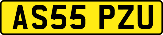 AS55PZU