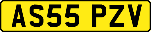 AS55PZV