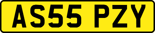AS55PZY