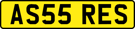 AS55RES