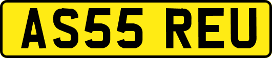 AS55REU