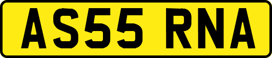 AS55RNA