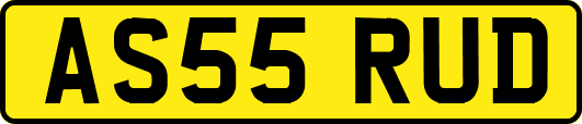 AS55RUD