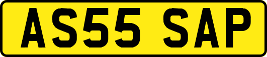 AS55SAP