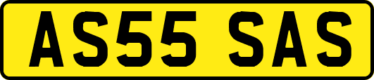 AS55SAS