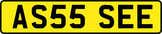AS55SEE