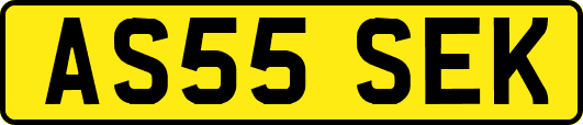 AS55SEK