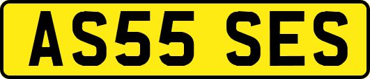 AS55SES