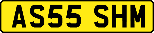 AS55SHM