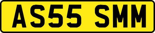 AS55SMM