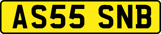 AS55SNB