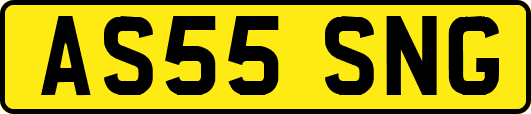 AS55SNG