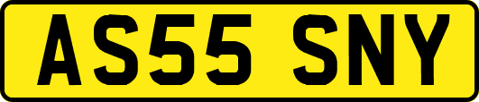 AS55SNY