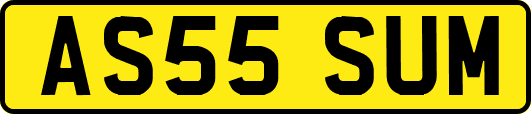 AS55SUM